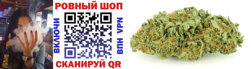 МЕФ Нововоронеж