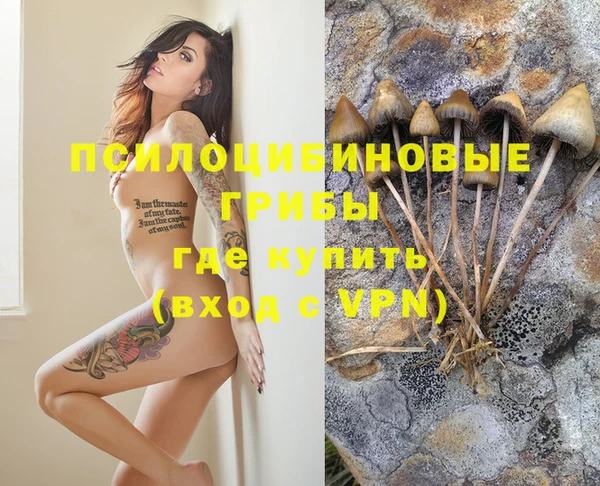 крисы Сосновый Бор