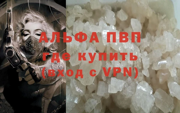 шишки Семикаракорск