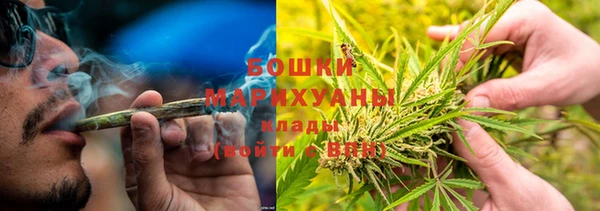 прущая мука Нея