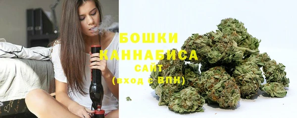 прущая мука Нея