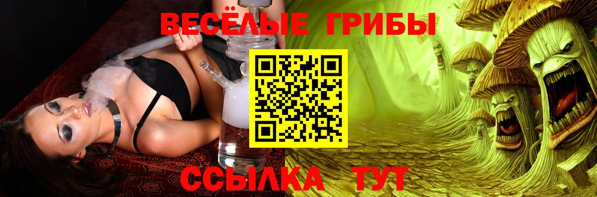 продажа наркотиков  Псилоцибиновые грибы Cubensis  Вход с VPN  Нововоронеж  Галлюциногенные грибы MAGIC MUSHROOMS 