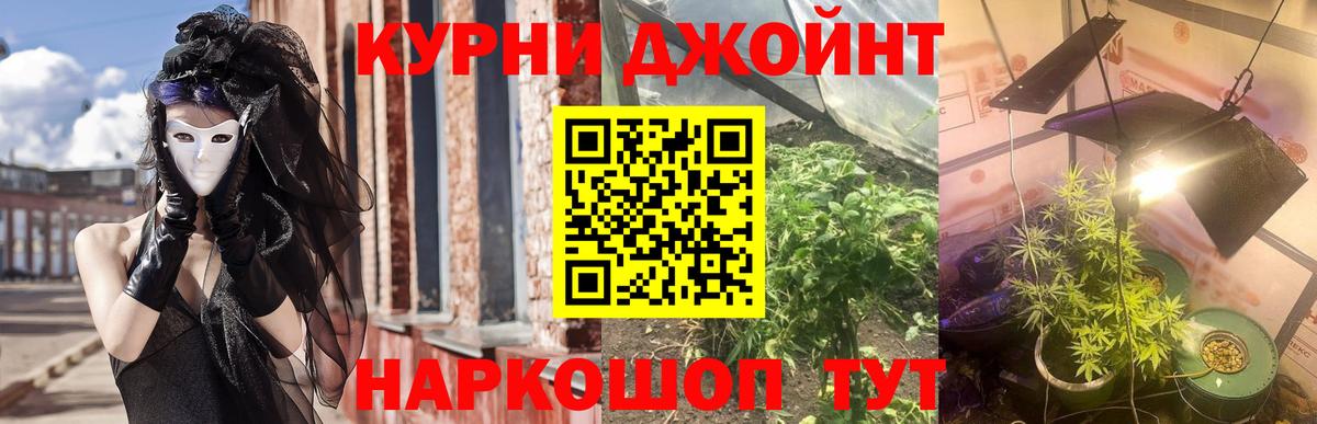 Нововоронеж  Марихуана Ganja  Марихуана план  Каннабис гибрид  Вход с VPN  Конопля LSD WEED 