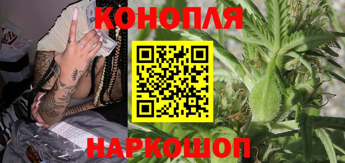 Галлюциногенные грибы Нововоронеж